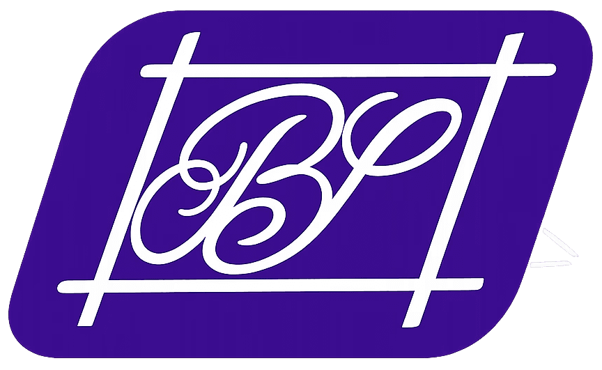 Binary Systems Logo