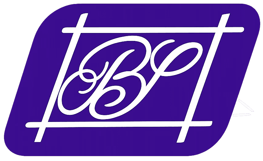 Binary Systems Logo